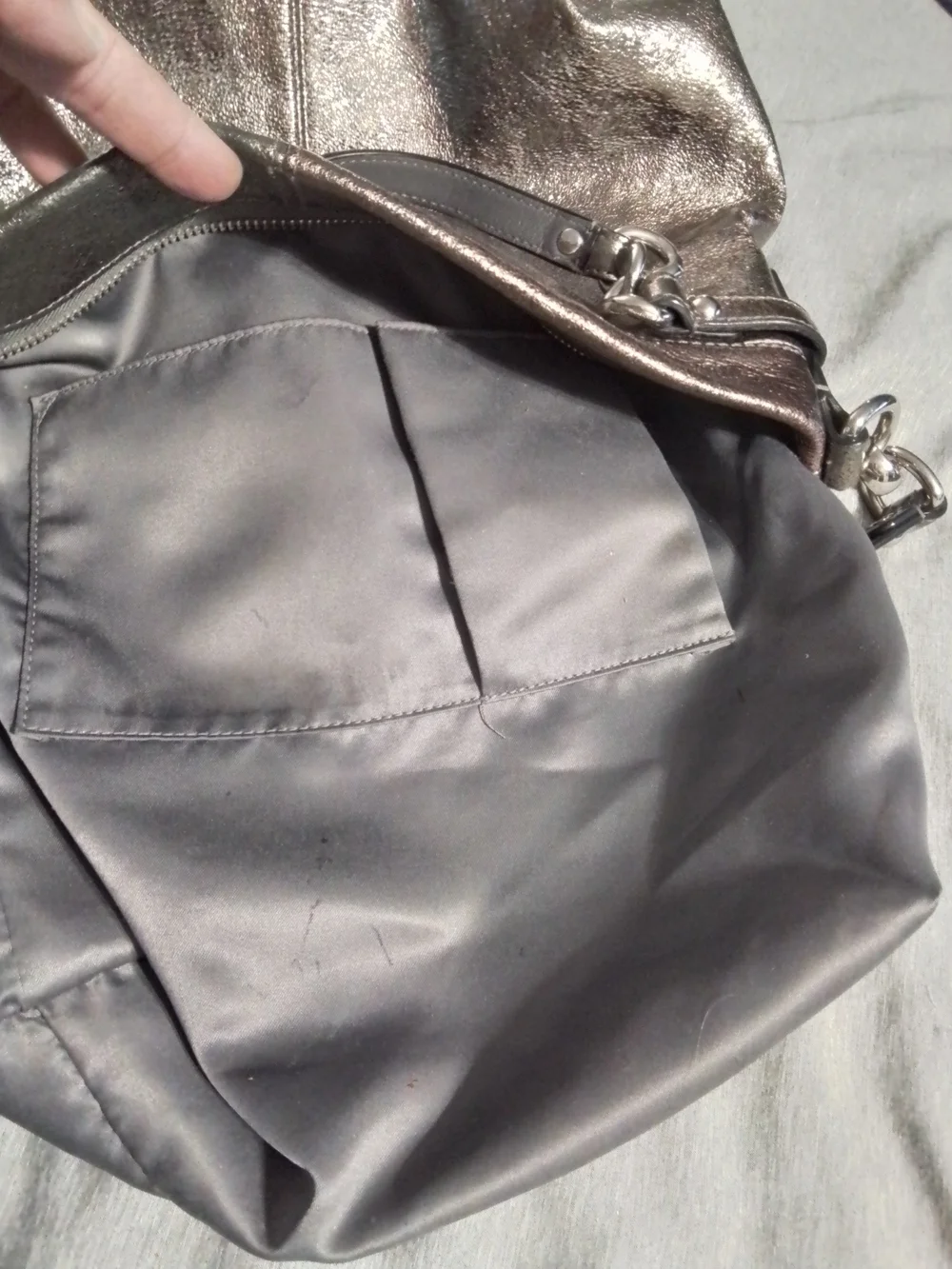 Coach Metallic Hobo Shoulder Bag
